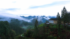 32 ������˶�������� ���ɵؾ��á� ���ܱ����ƽ�裬�����������������